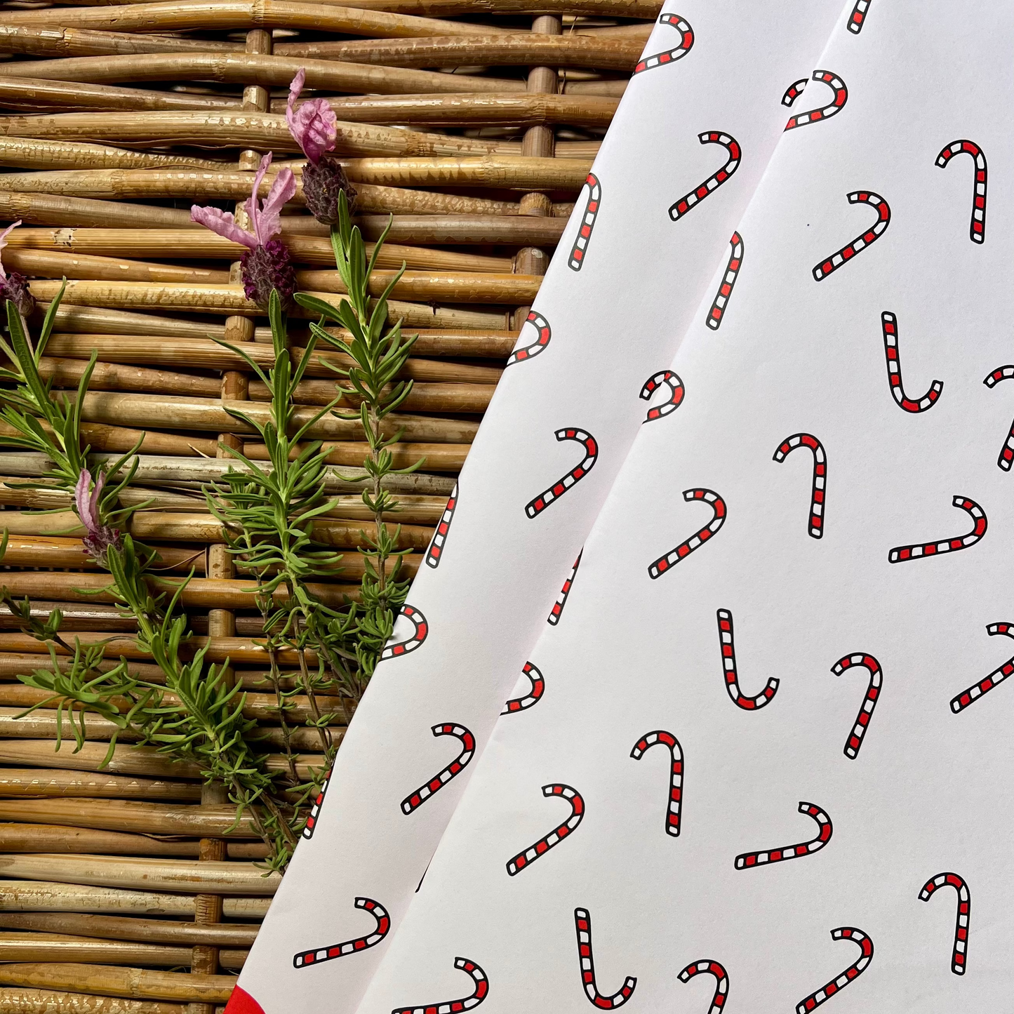 Premium Quality Candy Cane Christmas Wrapping Paper